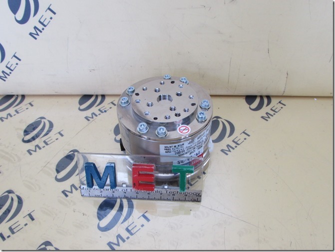 SEIKO EPSON S250P (1)